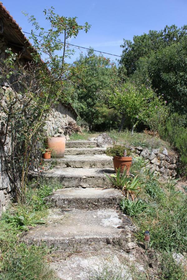Les Gites Du Mazel Champis Buitenkant foto